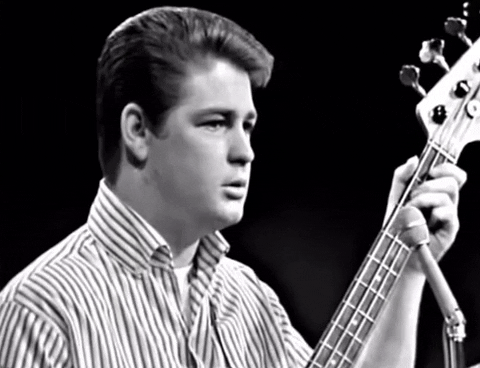The Beach Boys In My Room GIF