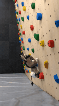 Grow Up Sport GIF by Hugo El Burrito