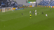 ilicic GIF by nss sports