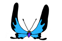 Alphabet Butterfly GIF