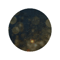 Lyrics Sticker by UMC