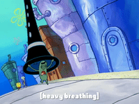 season 8 episode 6 GIF by SpongeBob SquarePants