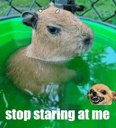 Angry GIF by Gifs Lab