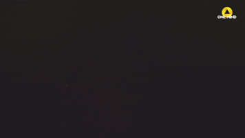 Out of the Shadows