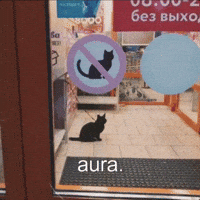 Cat No GIF