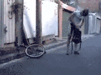 GIF by Demic