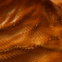 gifys GIF by The .GIFYS