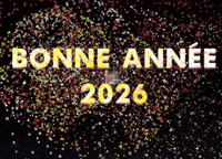 French Bonne Annee GIF