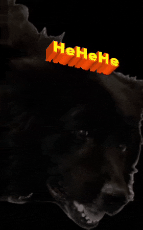 K9GRAPHICS hehehe k9 laughing dog GIF