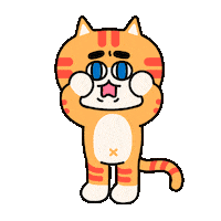 Sad Cat Sticker by 궁디팡팡 캣페스타