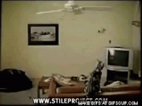 GIF by Demic