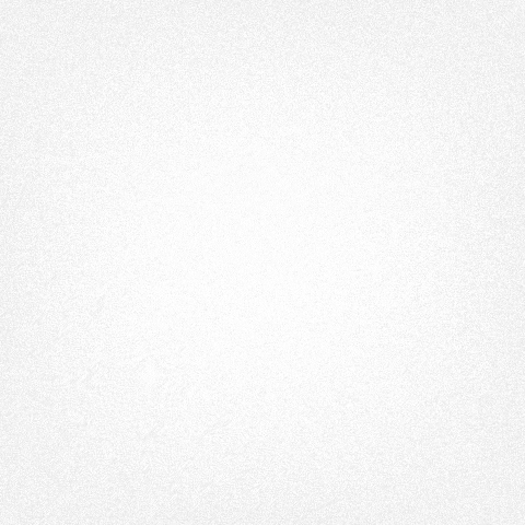 socialliger  GIF