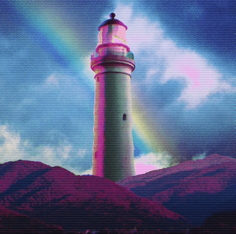 Hawaiiancat giphyupload GIF