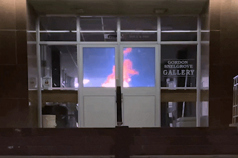 cputnam1 giphyupload GIF