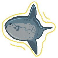 Ocean Sunfish Fish Sticker