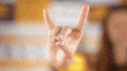 Loyola Wvb GIF by LoyolaRamblers