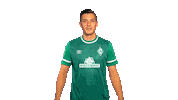 Rapp Sticker by SV Werder Bremen