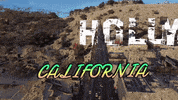 Los Angeles California GIF by Yevbel