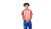 Football Soccer Sticker by Gulf United FC
