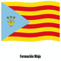 Flag Spain GIF by Formación Ninja