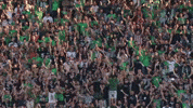 fans atmosphere GIF by AS Saint-Etienne