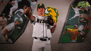 north dakota state baseball GIF by NDSU Athletics
