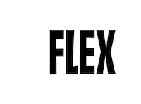 Bgztlab Sticker by 번개장터