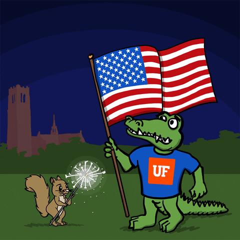 Fourth Of July Fireworks GIF by UF Warrington College of Business
