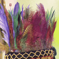 Hair Bird GIF by TRT