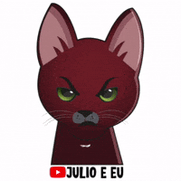 julioeeu hot pet gato julio GIF