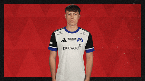 Hamburger Sv Football GIF by Bundesliga