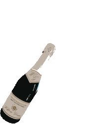 Party Celebrating Sticker by TRIGEMA