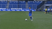 fcdynamo football run fake dynamo GIF