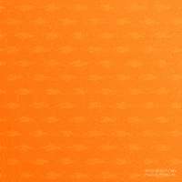 Party Community GIF by Staatsloterij