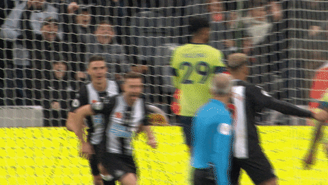 Newcastle_United giphyupload celebration newcastle nufc GIF