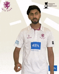 Ball Bat GIF by Somerset County Cricket Club