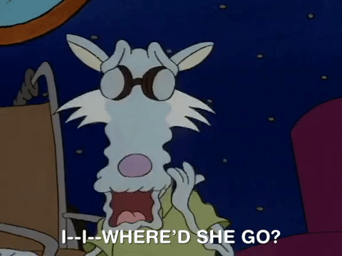 rockos modern life nicksplat GIF