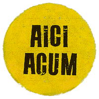 Aici Acum Sticker by themonojacks