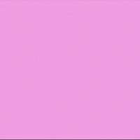 Love You Kiss GIF by CoinGecko