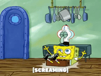 season 5 the krusty sponge GIF by SpongeBob SquarePants