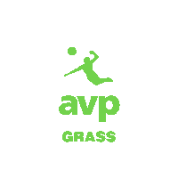 Beachvolleyball Sticker by AVP Pro Beach Volleyball Tour