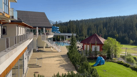 zzmysl giphyupload GIF