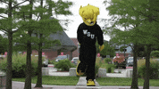 Wu_Shock wu wsu wushock shockers GIF