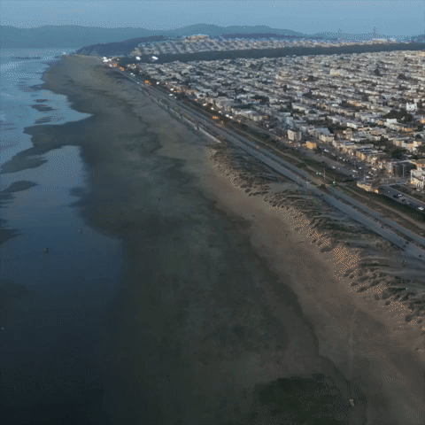 Ocean Beach