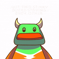 Ducks Staring GIF