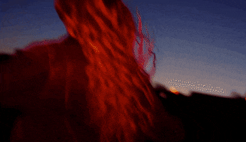 Ultra Music Dancing GIF by Ultra Records