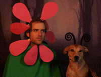 Flower Butterfly GIF by Halloween