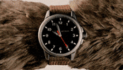 Fantastic Mr Fox Film GIF