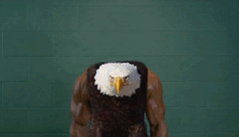 Birds With Arms GIF