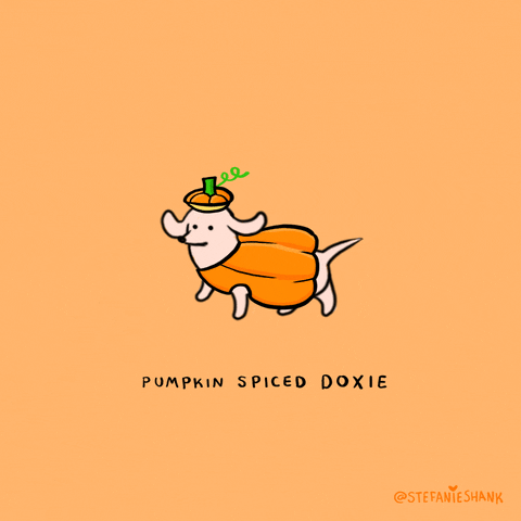 Cartoon gif. Cute white dog dressed in a pumpkin costume struts happily over the text, “Pumpkin spiced doxie.”